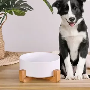 Keraaminen koiranruokakuppi