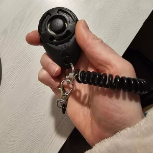 Asiakkaalta D****n saatu kannettava koirankoulutusklikkeri.