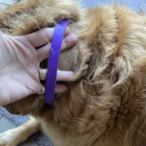 Asiakkaalta H***e saatu 3 kpl koiran rauhoittavaa feromonikaulakorua