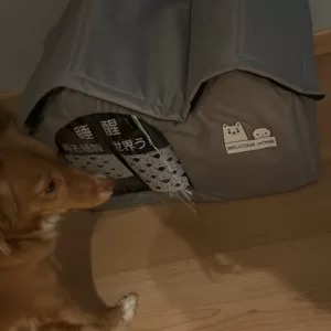 Asiakkaan L***a vastaanottama ilmastoitu kesäkoirankoppi