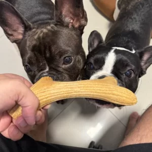 Asiakkaalta C***r saadut puiset sarvihammastikut koiralle.