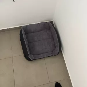 Asiakkaan B****p. vastaanottama pestävä koiranpeti pehmeällä patjalla.