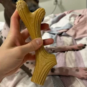 Asiakkaan M****a vastaanottama puisesta sarvesta valmistettu koiran purutikku.