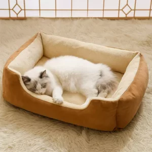 cat bed, cat cushion, elevated cat bed, raised cat bed
