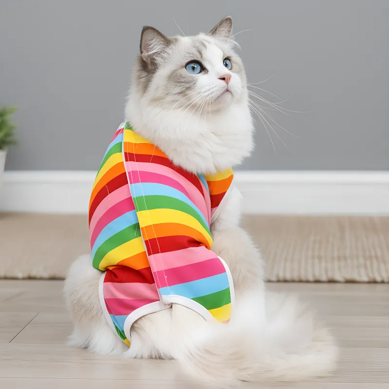 cat sterilization suit, cat recovery clothes, cute cat recovery clothes