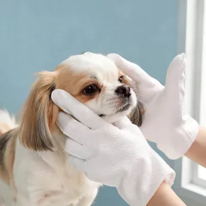 dog glove wipes